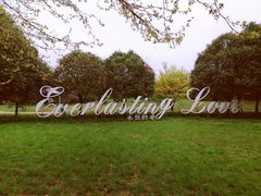 -洛阳郁金香牡丹园