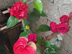 -22ºN BISTRO西餐&酒馆