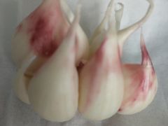 -和月楼牛羊肉泡馍