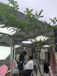 -苏奇发型·烫发染发