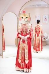 -韩国天使嫁衣婚纱礼服馆(上海旗舰店)