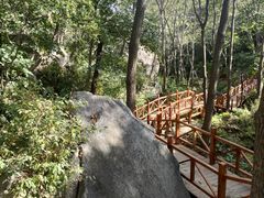 -大岭沟猕猴桃谷风景区