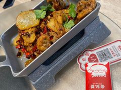 -佬肥猫(七宝宝龙店)