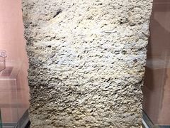 -烟台市博物馆