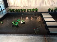 -轻武堂传统射箭·功夫茶·射击体验馆(仁和新城店)