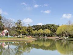 -上海鲜花港