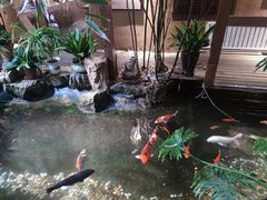 -聚缘堂·海鲜私房菜(松岭路店)