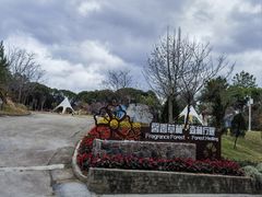 -广州市流溪河国家森林公园