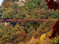 -少华山国家森林公园