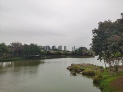 -顺峰山公园