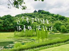 -国恩寺
