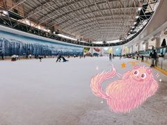 -世界之窗阿尔卑斯冰雪世界