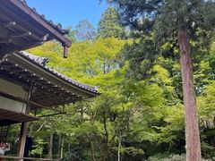 -三千院