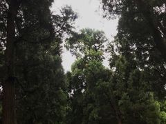 -金堂县云顶石城风景区