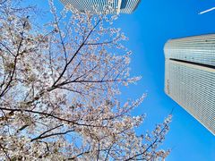 -无锡新湖铂尔曼大酒店