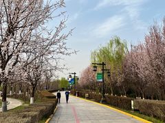 -西安汉城湖景区