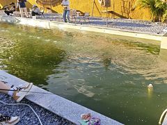 -DGE季风钓虾营地·团建·聚会