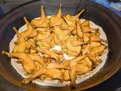 -头上红煨盐鸡乡村食府