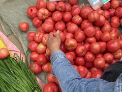 -雪绒花路停车场