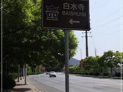 -白水寺森林公园