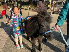 -神户市立六甲山牧场