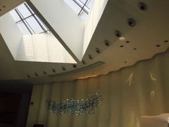 -深圳东部华侨城瀑布酒店