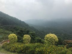 -广州市石门国家森林公园