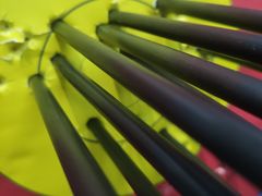 -道顺射箭·团建·骑射(张杨路店)