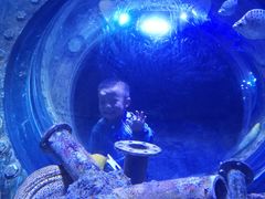 -成都浩海立方海洋公园