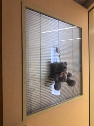 -杭州贝瑞斯美华妇儿医院·早孕·产检·儿科