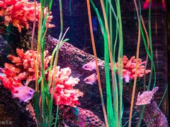 -沈阳海洋探索中心