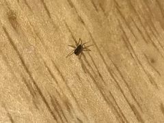 -兰亭轩茶餐厅(长江路店)