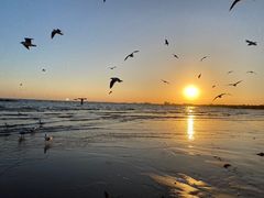 -老虎石海上公园