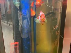 -羽鸽集·乳鸽专门店·地道顺德菜(岭南站店)