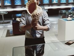 -青岛贝壳博物馆
