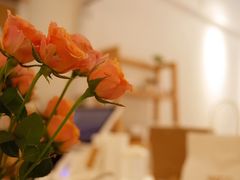 -Cafe on warm(丹霞店)