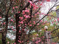 -山外山菜馆(玉泉路店)