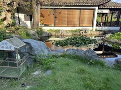-日出青木