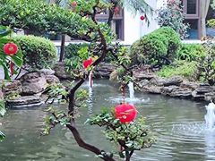 -聚福宝合苑食府(南头镇店)