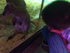 -zoonana室内动物园(东方福来德店)