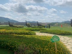 -光明小镇欢乐田园