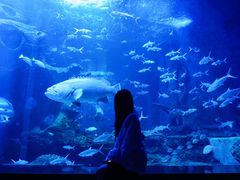 -多彩贵州城极地海洋世界