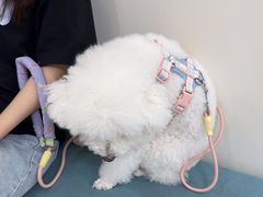 -美联众合动物医院·24h京西诊疗中心
