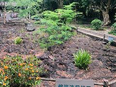 -海口火山口国家地质公园