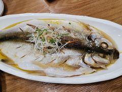 清蒸白鱼-老苏州大客堂·苏帮菜·松鼠桂鱼·苏州传统小吃(观前街人民商场店)