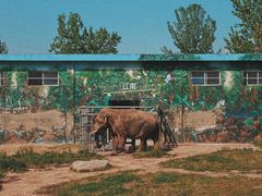 -西安秦岭野生动物园