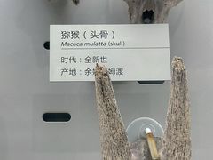 -浙江自然博物院(杭州馆)
