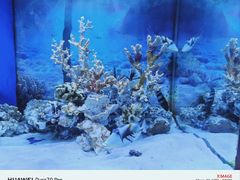 -多彩贵州城极地海洋世界