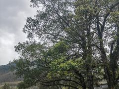 -井冈山风景名胜区