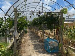 -美家乐农庄·露营·团建(大治路店)